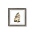 Picture of Baby Brown Bunny _GroupedProduct_Square_Mini_ _GroupedProduct_Square_Framed_Matted_