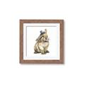 Picture of Baby Brown Bunny _GroupedProduct_Square_Mini_ _GroupedProduct_Square_Framed_Matted_