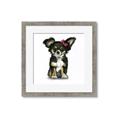 Picture of Pink Bow Chihuahua  _GroupedProduct_Square_Mini_ _GroupedProduct_Square_Framed_Matted_