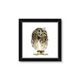 Picture of Princess Owl _GroupedProduct_Square_Mini_ _GroupedProduct_Square_Framed_Matted_