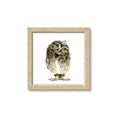 Picture of Princess Owl _GroupedProduct_Square_Mini_ _GroupedProduct_Square_Framed_Matted_