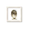 Picture of Princess Owl _GroupedProduct_Square_Mini_ _GroupedProduct_Square_Framed_Matted_