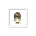 Picture of Princess Owl _GroupedProduct_Square_Mini_ _GroupedProduct_Square_Framed_Matted_