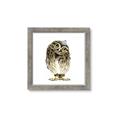 Picture of Princess Owl _GroupedProduct_Square_Mini_ _GroupedProduct_Square_Framed_Matted_