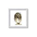 Picture of Princess Owl _GroupedProduct_Square_Mini_ _GroupedProduct_Square_Framed_Matted_