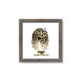 Picture of Princess Owl _GroupedProduct_Square_Mini_ _GroupedProduct_Square_Framed_Matted_