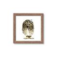 Picture of Princess Owl _GroupedProduct_Square_Mini_ _GroupedProduct_Square_Framed_Matted_