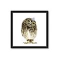 Picture of Princess Owl _GroupedProduct_Square_Mini_ _GroupedProduct_Square_Framed_Matted_