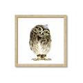 Picture of Princess Owl _GroupedProduct_Square_Mini_ _GroupedProduct_Square_Framed_Matted_