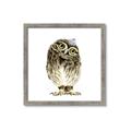 Picture of Princess Owl _GroupedProduct_Square_Mini_ _GroupedProduct_Square_Framed_Matted_