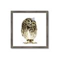 Picture of Princess Owl _GroupedProduct_Square_Mini_ _GroupedProduct_Square_Framed_Matted_