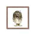 Picture of Princess Owl _GroupedProduct_Square_Mini_ _GroupedProduct_Square_Framed_Matted_