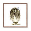 Picture of Princess Owl _GroupedProduct_Square_Mini_ _GroupedProduct_Square_Framed_Matted_