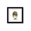 Picture of Princess Owl _GroupedProduct_Square_Mini_ _GroupedProduct_Square_Framed_Matted_