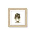 Picture of Princess Owl _GroupedProduct_Square_Mini_ _GroupedProduct_Square_Framed_Matted_