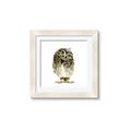 Picture of Princess Owl _GroupedProduct_Square_Mini_ _GroupedProduct_Square_Framed_Matted_