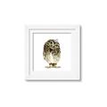 Picture of Princess Owl _GroupedProduct_Square_Mini_ _GroupedProduct_Square_Framed_Matted_