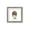 Picture of Princess Owl _GroupedProduct_Square_Mini_ _GroupedProduct_Square_Framed_Matted_