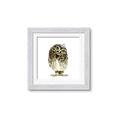 Picture of Princess Owl _GroupedProduct_Square_Mini_ _GroupedProduct_Square_Framed_Matted_