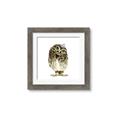 Picture of Princess Owl _GroupedProduct_Square_Mini_ _GroupedProduct_Square_Framed_Matted_