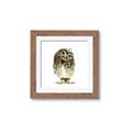 Picture of Princess Owl _GroupedProduct_Square_Mini_ _GroupedProduct_Square_Framed_Matted_