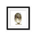 Picture of Princess Owl _GroupedProduct_Square_Mini_ _GroupedProduct_Square_Framed_Matted_