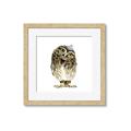 Picture of Princess Owl _GroupedProduct_Square_Mini_ _GroupedProduct_Square_Framed_Matted_