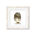 Picture of Princess Owl _GroupedProduct_Square_Mini_ _GroupedProduct_Square_Framed_Matted_