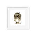 Picture of Princess Owl _GroupedProduct_Square_Mini_ _GroupedProduct_Square_Framed_Matted_