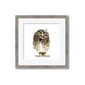 Picture of Princess Owl _GroupedProduct_Square_Mini_ _GroupedProduct_Square_Framed_Matted_
