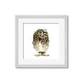 Picture of Princess Owl _GroupedProduct_Square_Mini_ _GroupedProduct_Square_Framed_Matted_
