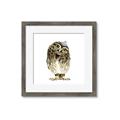 Picture of Princess Owl _GroupedProduct_Square_Mini_ _GroupedProduct_Square_Framed_Matted_