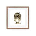 Picture of Princess Owl _GroupedProduct_Square_Mini_ _GroupedProduct_Square_Framed_Matted_