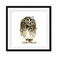 Picture of Princess Owl _GroupedProduct_Square_Mini_ _GroupedProduct_Square_Framed_Matted_