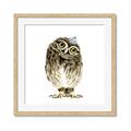 Picture of Princess Owl _GroupedProduct_Square_Mini_ _GroupedProduct_Square_Framed_Matted_
