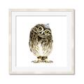 Picture of Princess Owl _GroupedProduct_Square_Mini_ _GroupedProduct_Square_Framed_Matted_