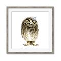 Picture of Princess Owl _GroupedProduct_Square_Mini_ _GroupedProduct_Square_Framed_Matted_