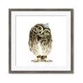 Picture of Princess Owl _GroupedProduct_Square_Mini_ _GroupedProduct_Square_Framed_Matted_