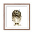 Picture of Princess Owl _GroupedProduct_Square_Mini_ _GroupedProduct_Square_Framed_Matted_