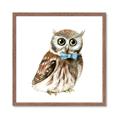 Picture of Oliver The Owl _GroupedProduct_Square_Mini_ _GroupedProduct_Square_Framed_Matted_
