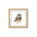 Picture of Oliver The Owl _GroupedProduct_Square_Mini_ _GroupedProduct_Square_Framed_Matted_