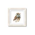 Picture of Oliver The Owl _GroupedProduct_Square_Mini_ _GroupedProduct_Square_Framed_Matted_