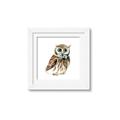 Picture of Oliver The Owl _GroupedProduct_Square_Mini_ _GroupedProduct_Square_Framed_Matted_