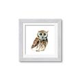 Picture of Oliver The Owl _GroupedProduct_Square_Mini_ _GroupedProduct_Square_Framed_Matted_