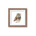 Picture of Oliver The Owl _GroupedProduct_Square_Mini_ _GroupedProduct_Square_Framed_Matted_