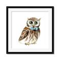 Picture of Oliver The Owl _GroupedProduct_Square_Mini_ _GroupedProduct_Square_Framed_Matted_