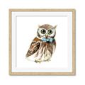 Picture of Oliver The Owl _GroupedProduct_Square_Mini_ _GroupedProduct_Square_Framed_Matted_