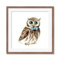 Picture of Oliver The Owl _GroupedProduct_Square_Mini_ _GroupedProduct_Square_Framed_Matted_
