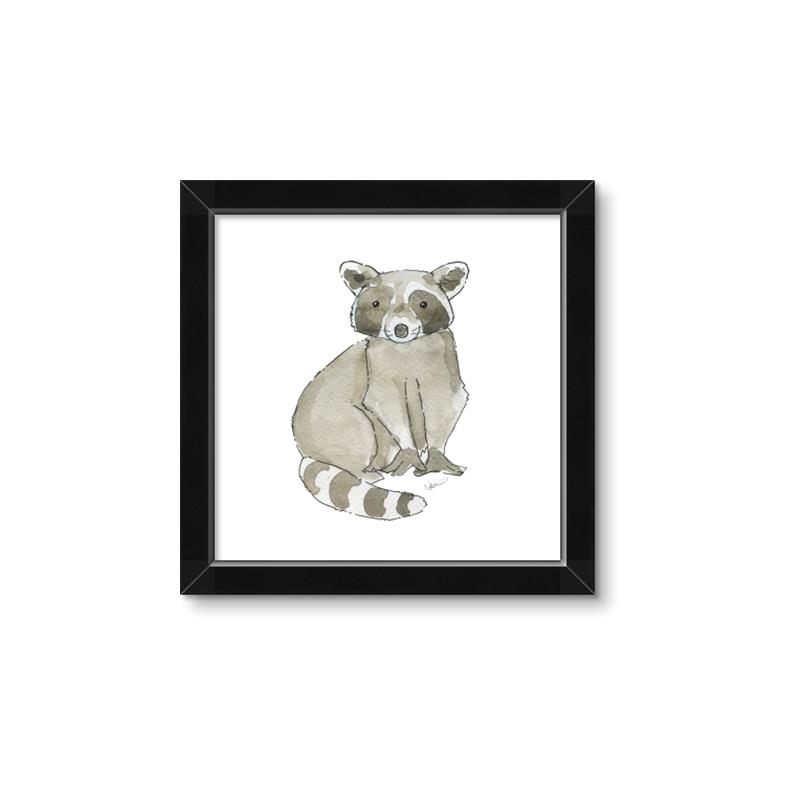 Picture of Baby Raccoon _GroupedProduct_Square_Mini_ _GroupedProduct_Square_Framed_Matted_