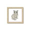 Picture of Baby Raccoon _GroupedProduct_Square_Mini_ _GroupedProduct_Square_Framed_Matted_